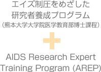 エイズ制圧をめざした研究者養成プログラム
AIDS Research ExpertTraining Program (AREP)