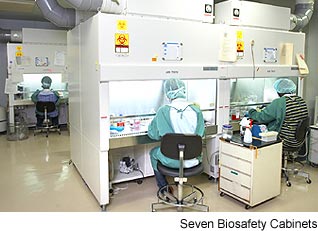 Seven Biosafety Cabinets