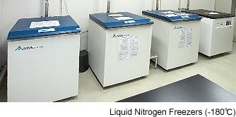 Liquid Nitrogen Freezers (-180)