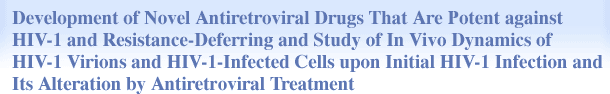 Development of Novel Antiretroviral Drugs That Are Potent against HIV-1 and Resistance-Deferring and Study of In Vivo Dynamics of HIV-1 Virions and HIV-1-Infected Cells upon Initial HIV-1 Infection and Its Alteration by Antiretroviral Treatment