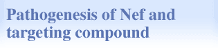 Pathogenesis of Nef and targeting compound