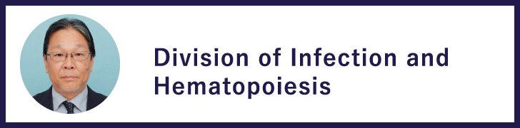 Division of Infection and Hematopoiesis