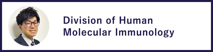 Division of Human Molecular Immunology