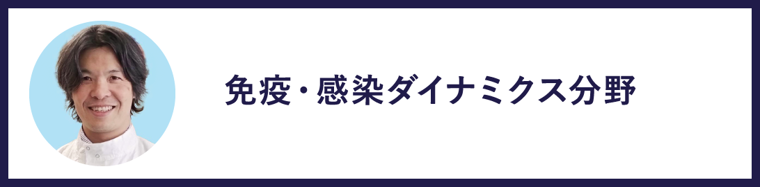 免疫・感染ダイナミクス分野